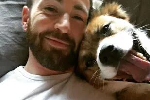 Chris Evans y la emotiva historia de adopción de un perro de edad adulta