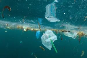 Revelan que hubo un aumento de la concentración de plásticos en los océanos desde 2005