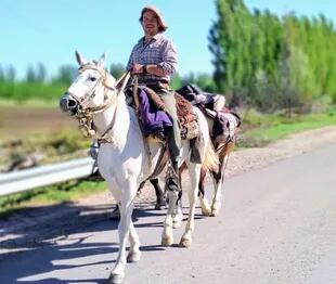 En el trayecto, los tres caballos alternaron los deberes, entre ser montado, carguero o ir en modo descanso