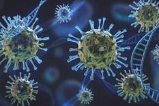 Qué variantes del coronavirus amenazan el escenario epidemiológico argentino