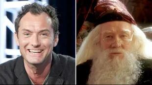 Jude Law será Dumbledore