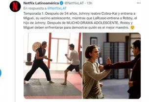 Netflix hizo un hilo de Twitter en el que cuenta someramente lo que pasa en cada temporada de Cobra Kai antes del estreno de la cuarta entrega de la serie