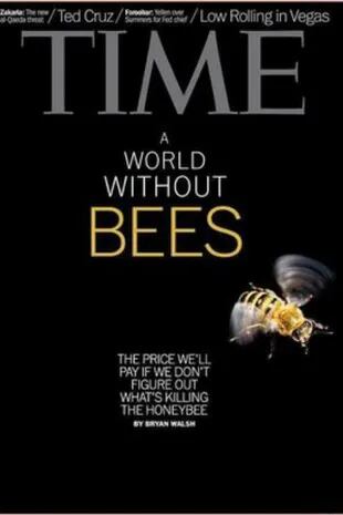 Tapa de la prestigiosa revista Time, con las abejas en su foco