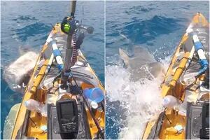 Estaba en el kayak, lo atacó un tiburón y se defendió de la manera más insólita
