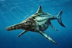 Hallazgo: descubren un reptil que dominó los océanos hace 250 millones de años