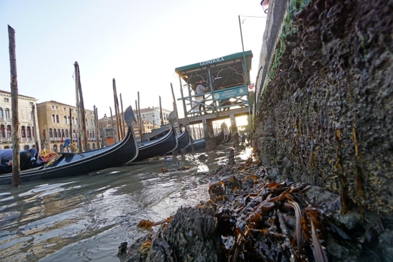 Las impactantes imágenes de Venecia sin agua - LA NACION