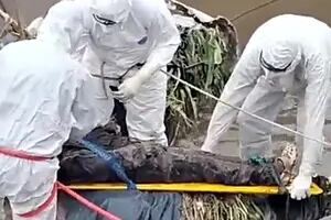 Encontraron el cuerpo de un adulto en un arroyo e investigan si se cayó durante el temporal