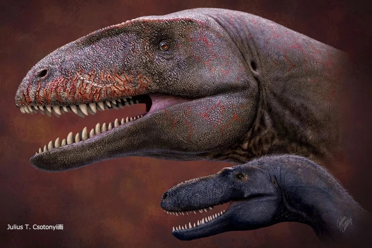 Este dinosaurio antecedió al T. Rex en el trono de los depredadores - LA  NACION