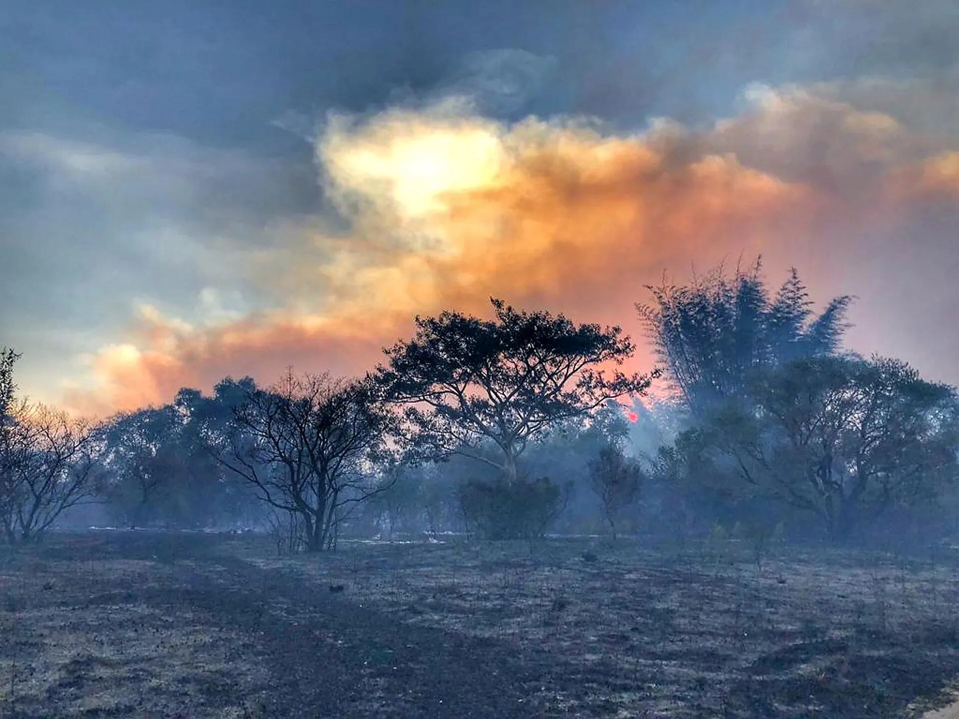 Las llamas azotan la Reserva Yerbalito, en Iberá, Corrientes
