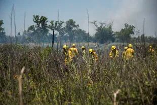 Para el gobierno nacional, el 98 % de los incendios en el Delta son intencionales