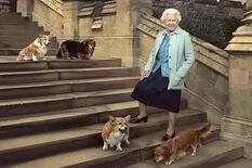 Murió "Whisper", el último perro corgi de la reina británica Isabel II