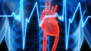 La insuficiencia cardíaca es un severo problema cardiovascular