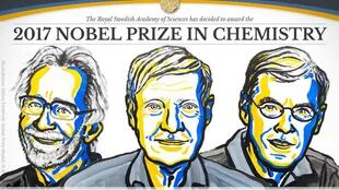 Premio Nobel de Química 2017: Jacques Dubochet, Joachim Frank y Richard Henderson fueron elegidos por su trabajo con biomoléculas