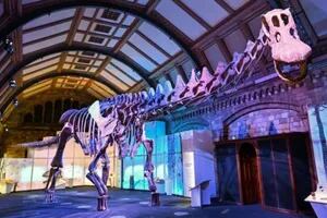 El colosal dinosaurio de la Argentina que llega al Museo de Historia Natural de Londres
