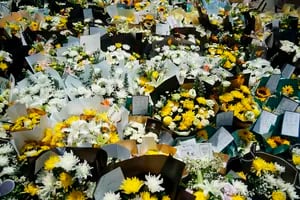 ¿Dónde y por qué se regalan flores amarillas cada 21 de marzo?