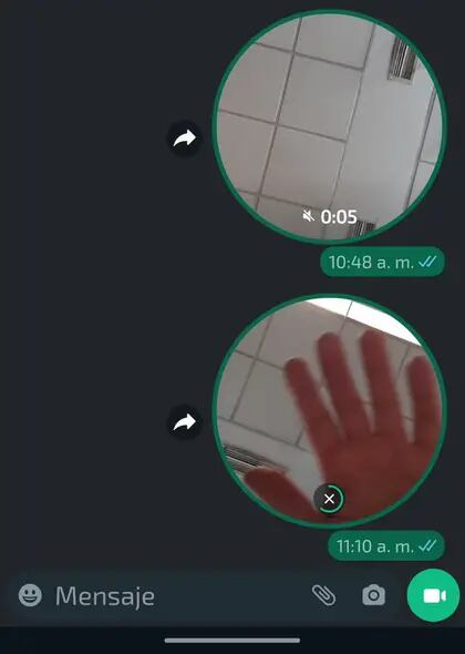 En el chat los videomensajes de WhatsApp tienen miniaturas circulares y animadas, lo que permite tener una previsualización de su contenido