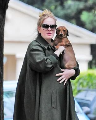 Adele, embarazada, en el año 2012