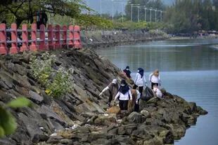  Estudiantes voluntarios recogen basura en una zona costera como parte del Día Mundial de la Limpieza en Banda Aceh, Indonesia