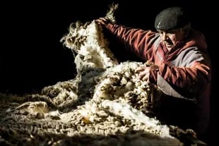 La esquila de ovejas, uno de los trabajos de los gauchos aptagónicos
