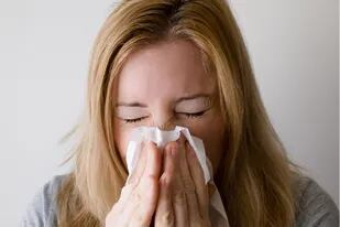 Cuáles son algunas de las causas que pueden provocar estornudos y no sabías