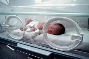 Control de embarazos, la causa de la mortalidad infantil más baja de la historia