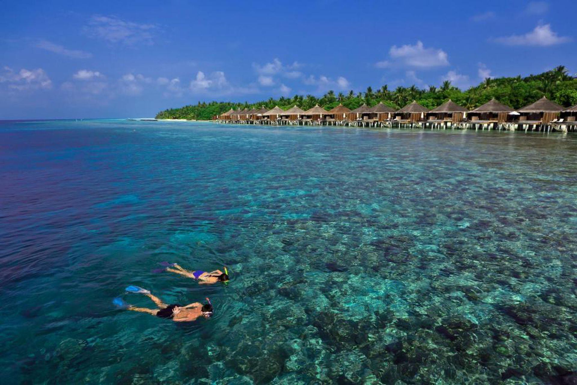 Uno de los mejores programas en Maldivas es el buceo y el snorkeling. Kuramathi Resort posee, además, un submarino.