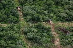 Ambiente. La Argentina obtuvo fondos para fortalecer la ley de bosques