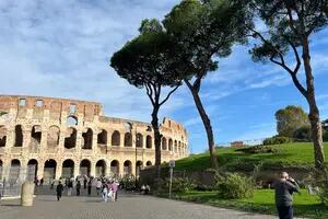 La curiosa historia de los emblemáticos pinos que embellecen las calles de Roma