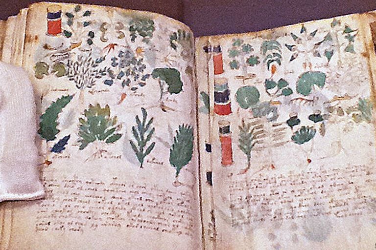 Al libro se lo conoce como el Manuscrito de Voynich, en honor al comerciante de libros de segunda mano que lo encontró