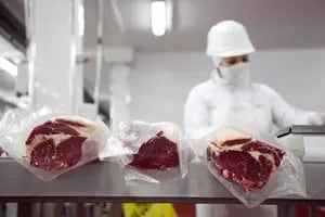 Brasil se prepara para exportar más carne a China y los frigoríficos argentinos temen una baja de los precios internacionales
