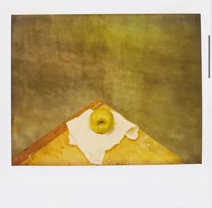 Polaroid 06 (1991), Aldo Sessa