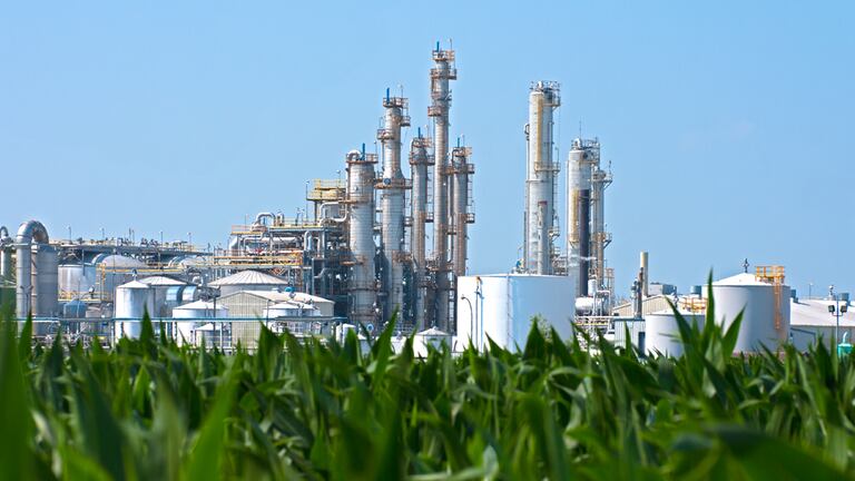 Biocombustibles: por un fallo de la Corte de EE.UU. cayeron el maíz y la soja