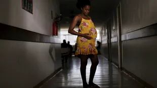 Las embarazadas, en riesgo por el virus del zika