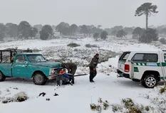 Catorce provincias en alerta por tormentas intensas, vientos y abundante caída de nieve