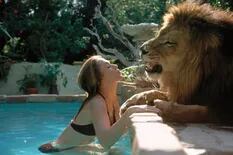 Tippi Hedren y Melanie Griffith. Las fotos de su insólita vida con el león Neil