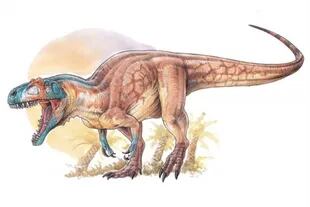 Vivió hace unos 80 millones de años, y sus restos denotan un formidable tamaño, mordida extremadamente poderosa, dientes muy afilados, enormes garras en sus patas, y agudo sentido del olfato