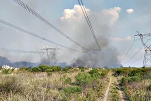 Un incendio perturbó una línea de alta tensión de 500 kw que une Campana con Gral. Rodríguez