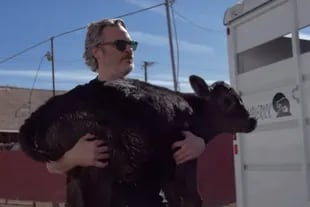Joaquin Phoenix junto a Indigo, una vaca rescatada