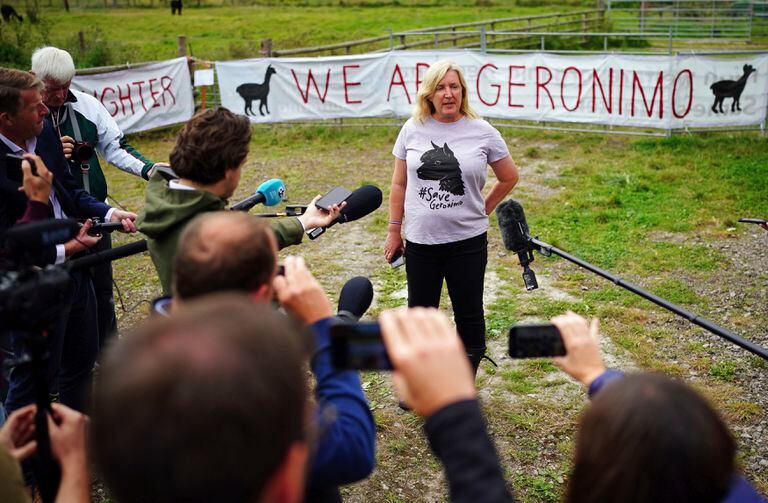 Helen Macdonald, la propietaria de Geronimo la alpaca, habla con los medios después de que el animal fuera llevado de la granja