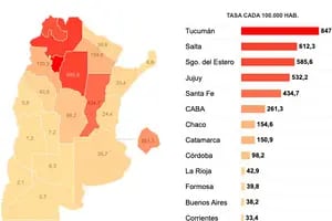 El mapa del dengue: cómo se distribuyen los casos en el país y cuánto crecieron en una semana