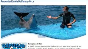 Las presentaciones de orcas y delfines están presentadas como las atracciones principales en la página