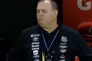 Marcelo Fernandes, técnico de Santos