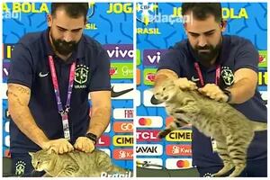 Un gato se coló en la conferencia de Vinicius y la reacción de un asistente generó repudio