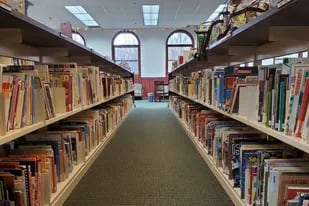 Buscan cerrar una biblioteca de Michigan porque ofrece libros con “ideología de género”