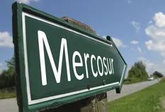 El Mercosur y un aniversario marcado por las diferencias
