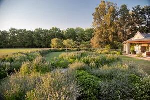 Un jardín diseñado como paisaje alrededor de una cancha de polo