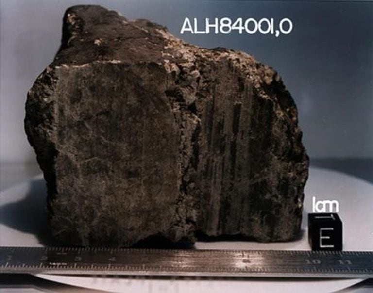 14-01-2022 Meteorito Allan Hills 84001 POLITICA INVESTIGACIÓN Y TECNOLOGÍA NASA/JSC/STANFORD UNIVERSITY.