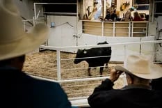 Los precios de los cortes de carne baten récords, pero a los rancheros de EE.UU. no les llega nada