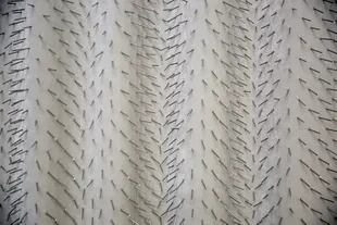 La artista alemana Edith Dekyndt transformó en una "cortina de hierro" una cortina de terciopelo con clavos que sólo se perciben al acercarse