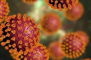 Covid: por qué las vacunas de células T podrían ser la clave para la inmunidad